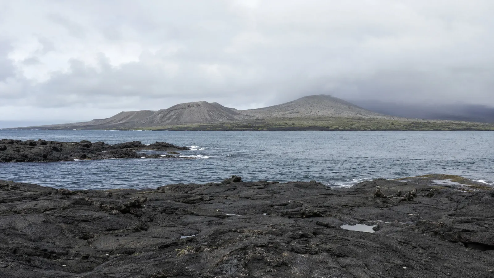 Côte volcanique préservée des îles Galápagos vue depuis la mer