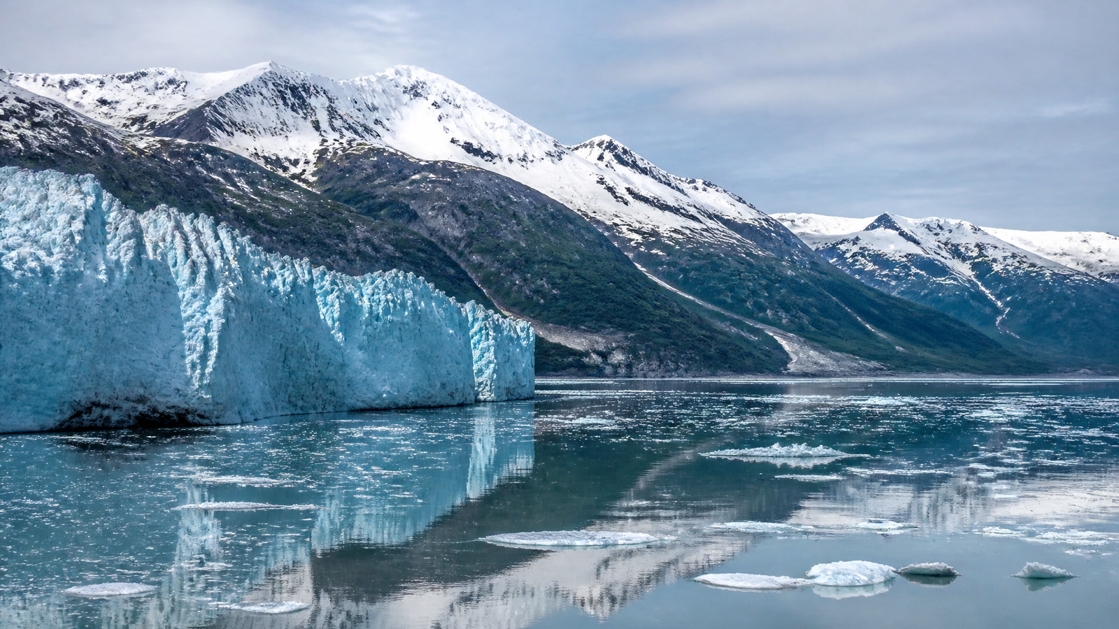 Fjord d'Alaska bordé de montagnes enneigées et de forêts, avec un glacier au loin