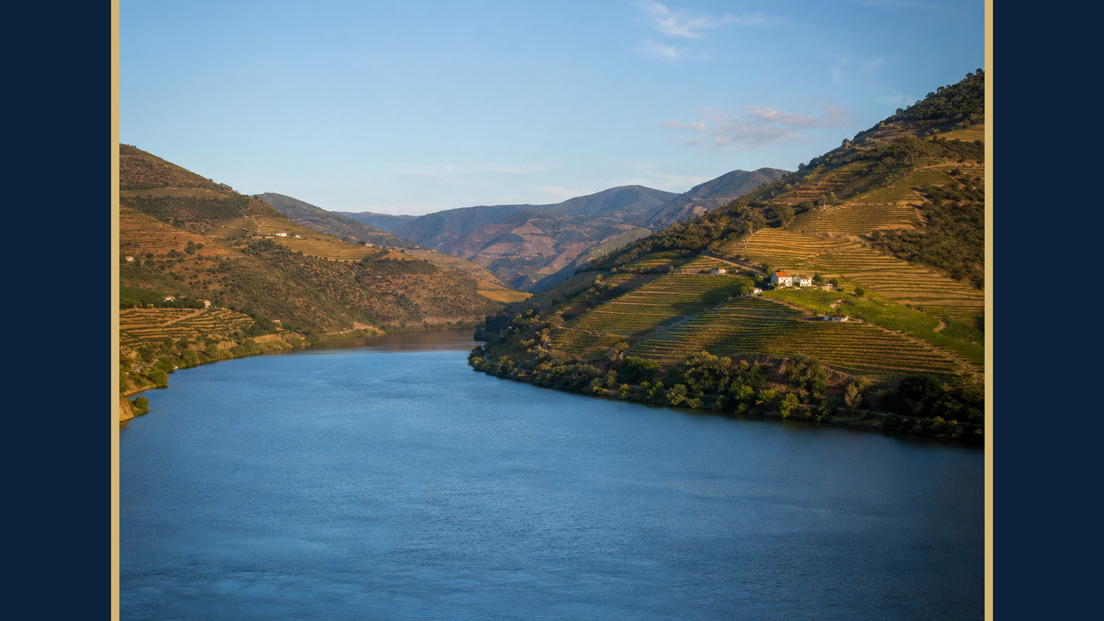 Vallée du Douro et vignobles en terrasses vus depuis le fleuve sous une lumière de fin d’après-midi